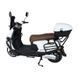 DOZER T-2500 Electric Scooter